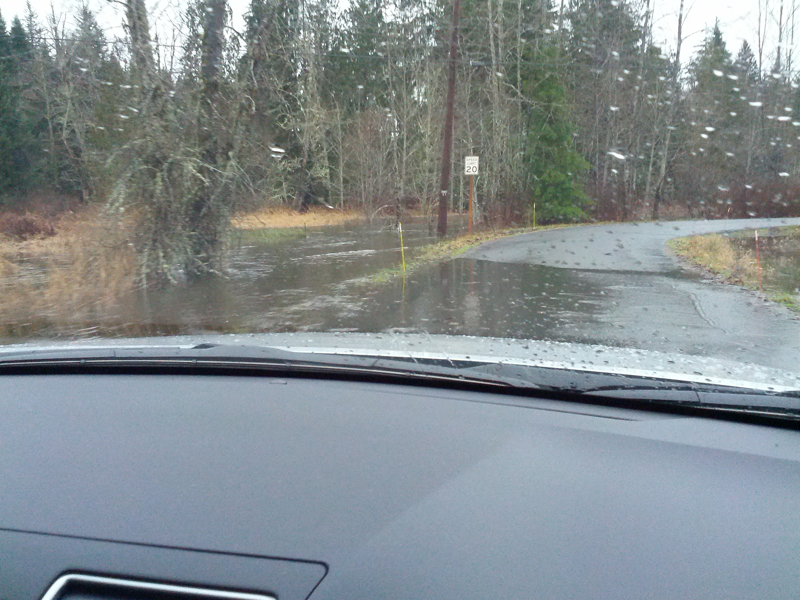 flooded Carpenter Creek on Jan 5th